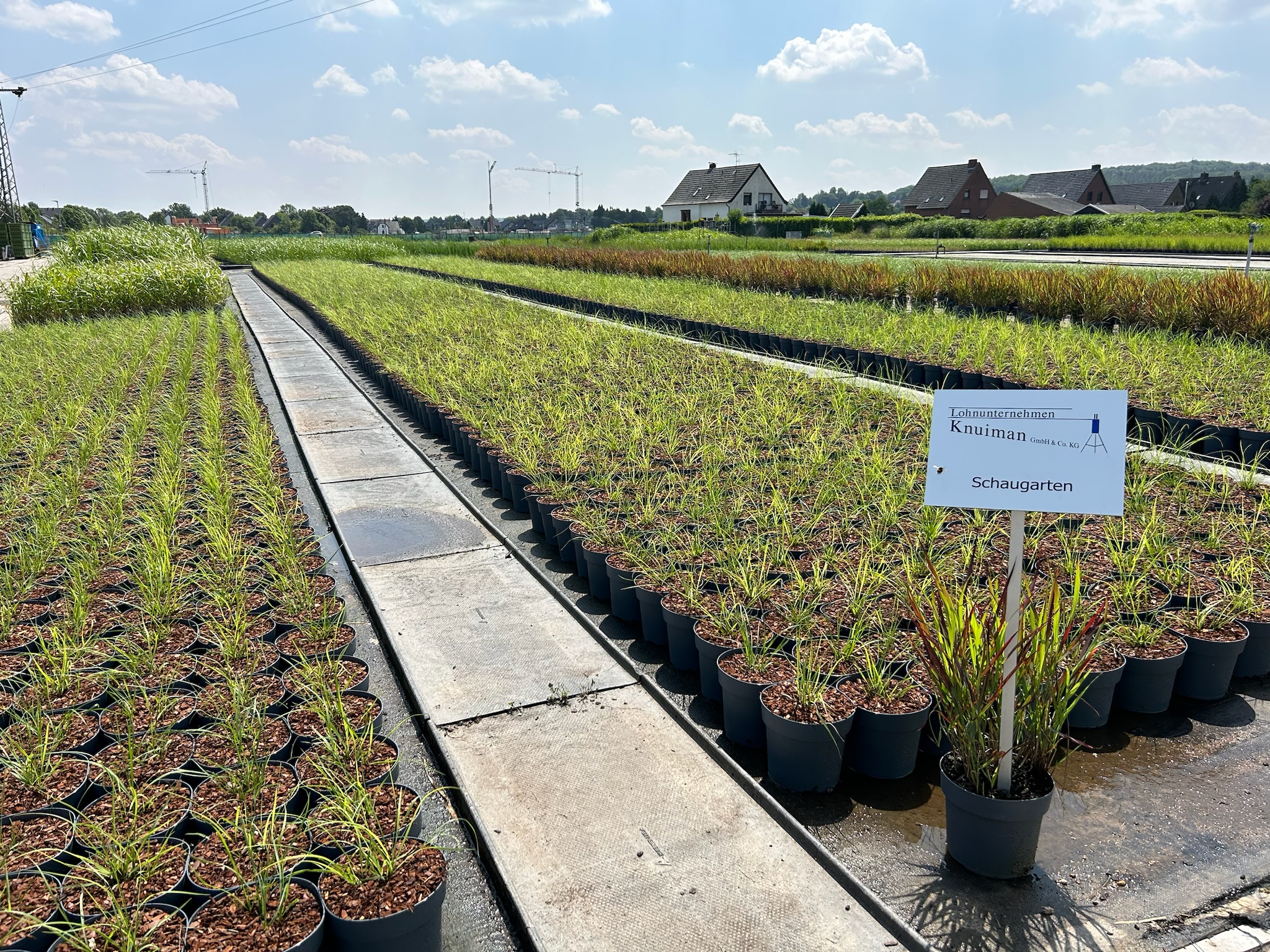 Tuinbouwloonbedrijf Knuiman B.V.