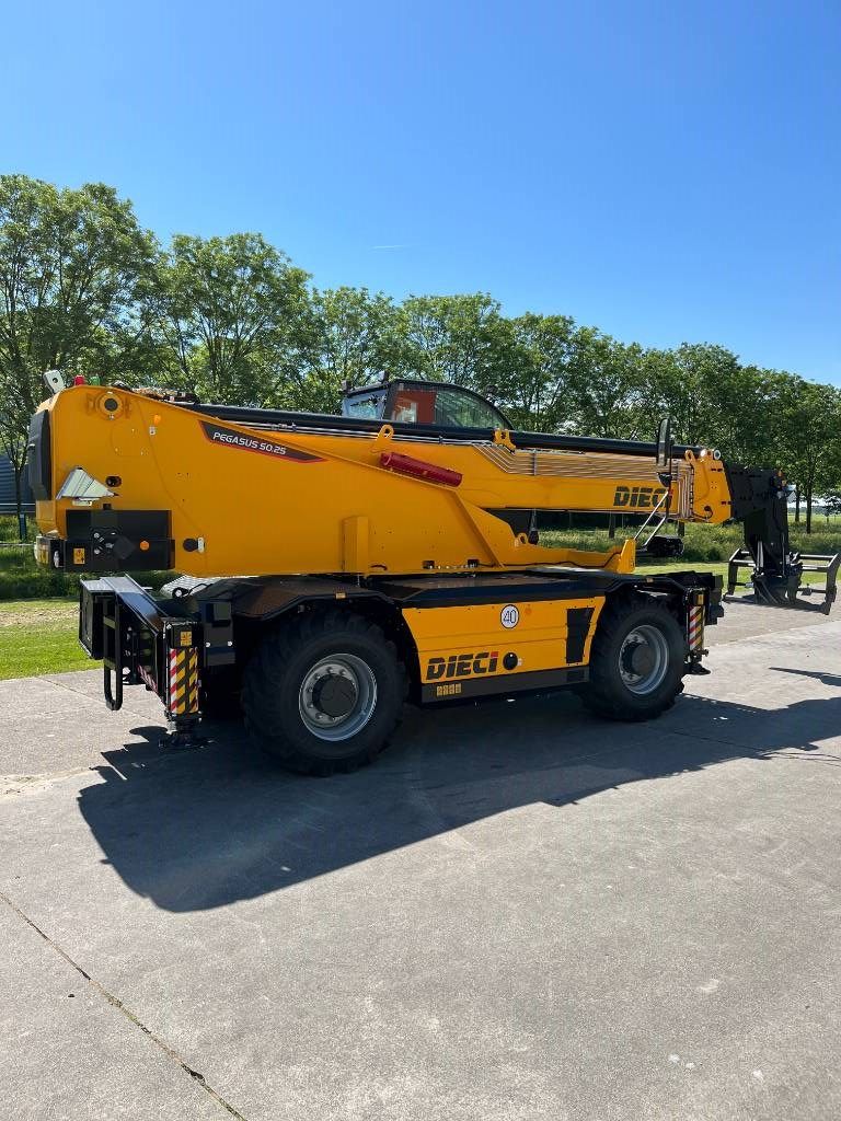 Dieci Pegaus 50.25