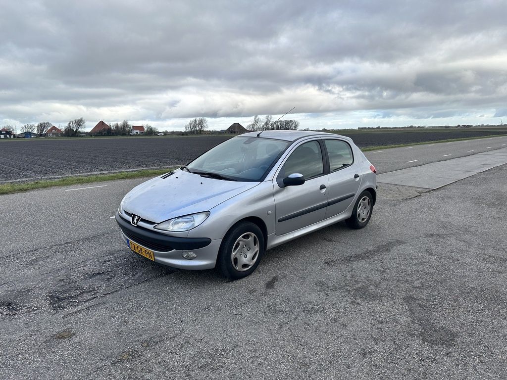 Peugeot 206