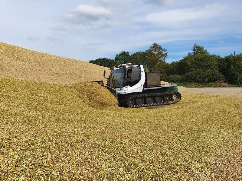Kässbohrer Pistenbully PB600 Sommereinsatz Biogas-Maisschieben
