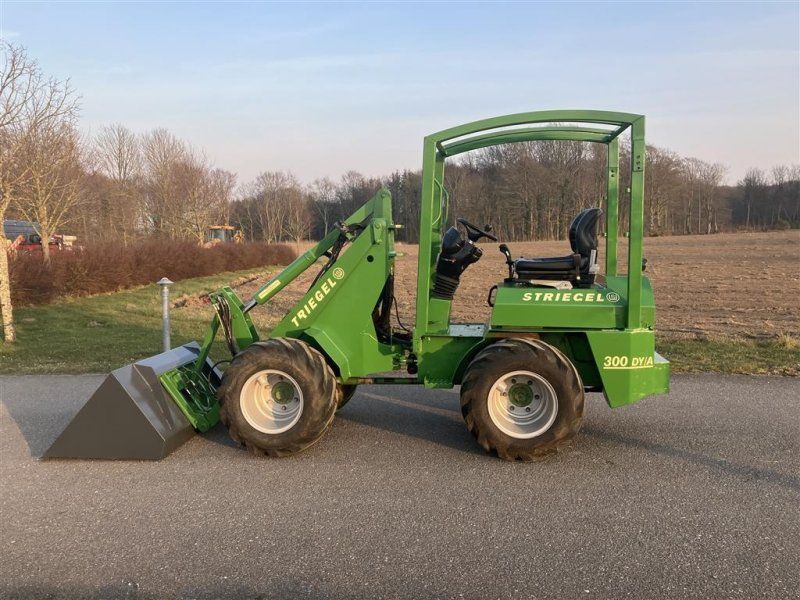 Striegel 300 Dy/a