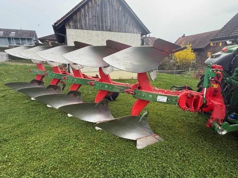 BS XXL SV5