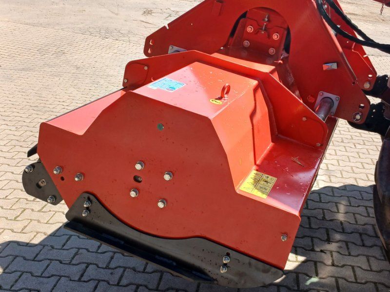 Boxer Schlegel, Heck, Seiten, Duo Plus