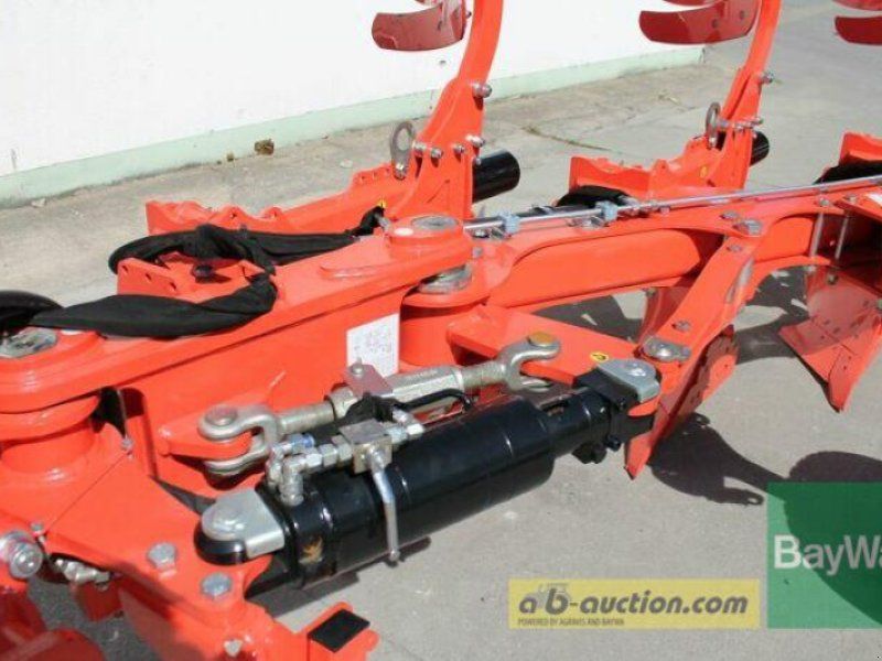 Maschio UNICO M PASSO D95 4+