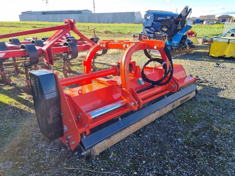 Boxer 250