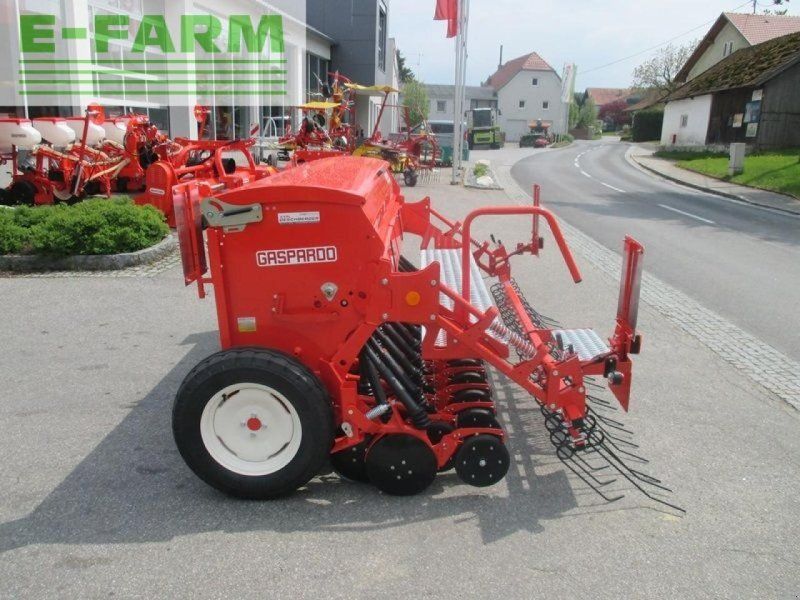 Maschio nina 300 corex