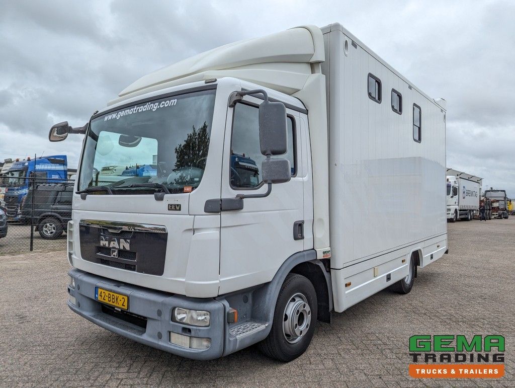 MAN TGL 12.250 4x2 Euro5 EEV RC HorseTruck - 2a3 Paards - 135.000km - MARGE (V821)