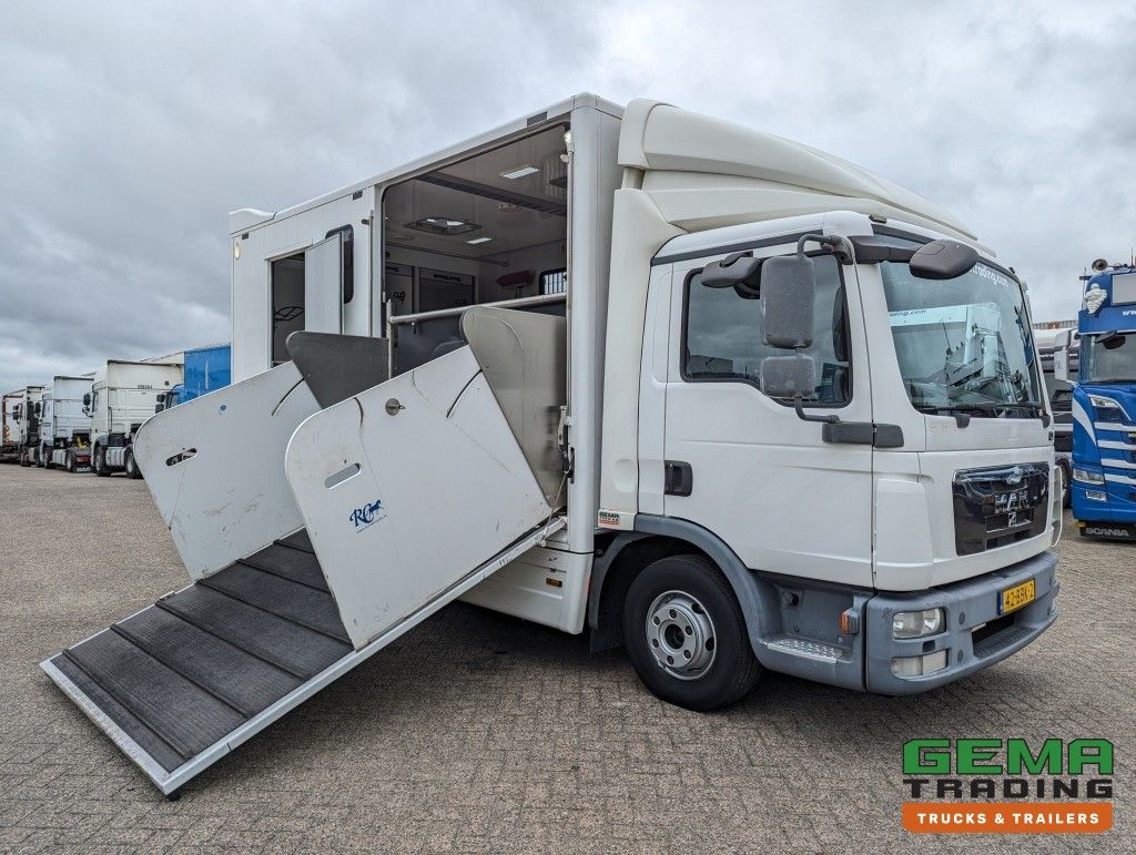 MAN TGL 12.250 4x2 Euro5 EEV RC HorseTruck - 2a3 Paards - 135.000km - MARGE (V821)