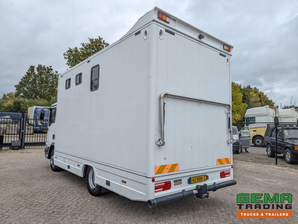 MAN TGL 12.250 4x2 Euro5 EEV RC HorseTruck - 2a3 Paards - 135.000km - MARGE (V821)