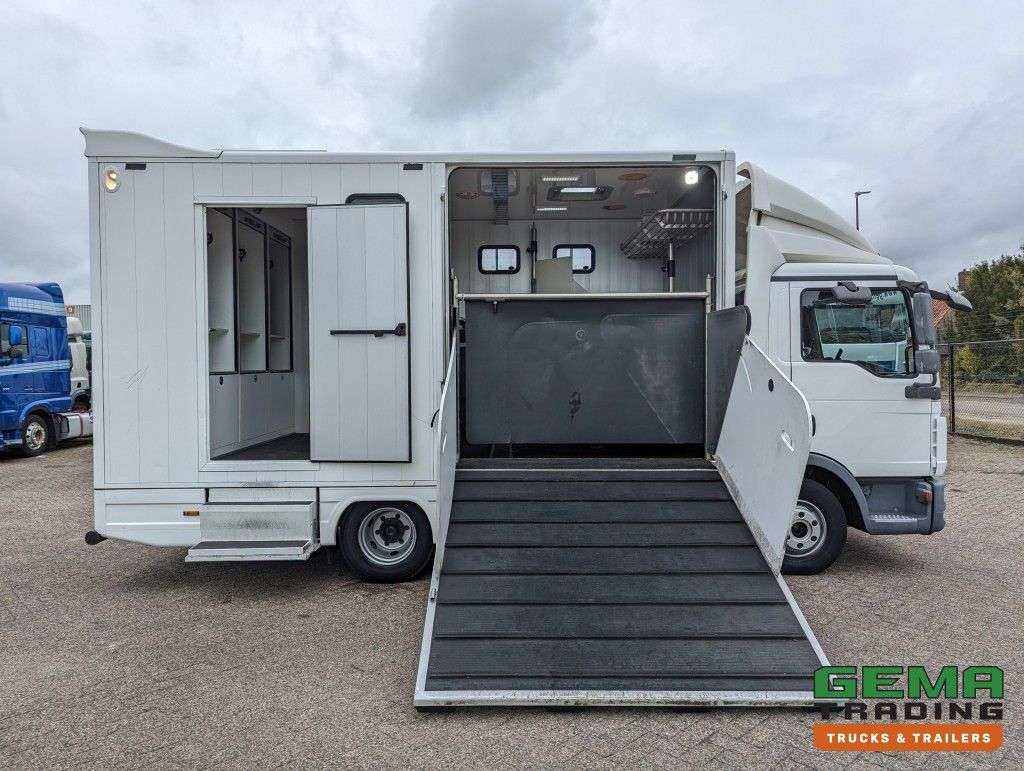 MAN TGL 12.250 4x2 Euro5 EEV RC HorseTruck - 2a3 Paards - 135.000km - MARGE (V821)