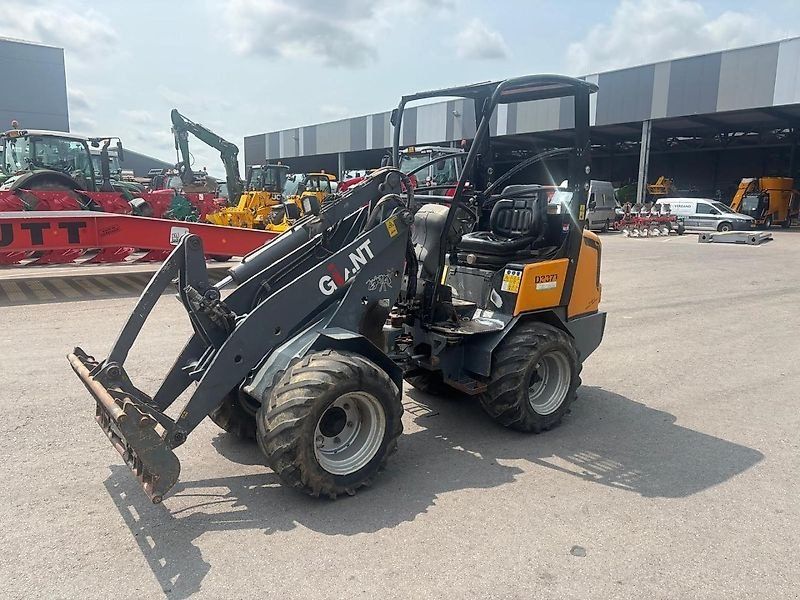 Giant D 337 T
