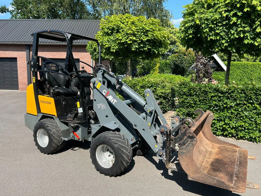 Giant D263SW