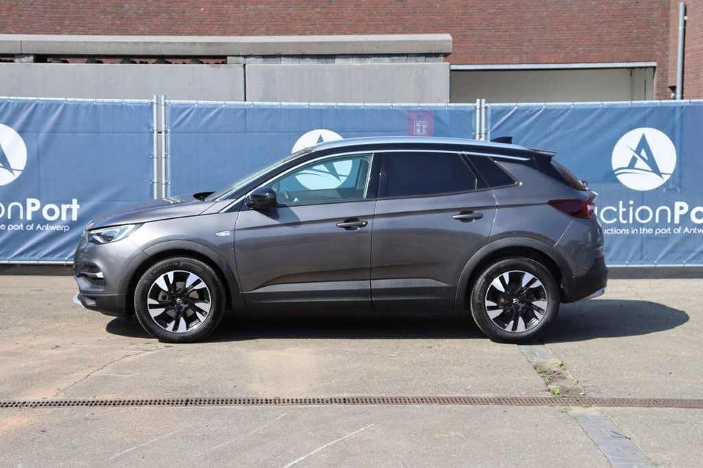 Opel Grandland Ultimate Diesel 2019 (Marge)
