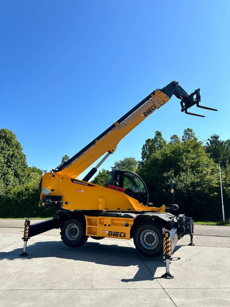 Dieci Pegaus 50.25