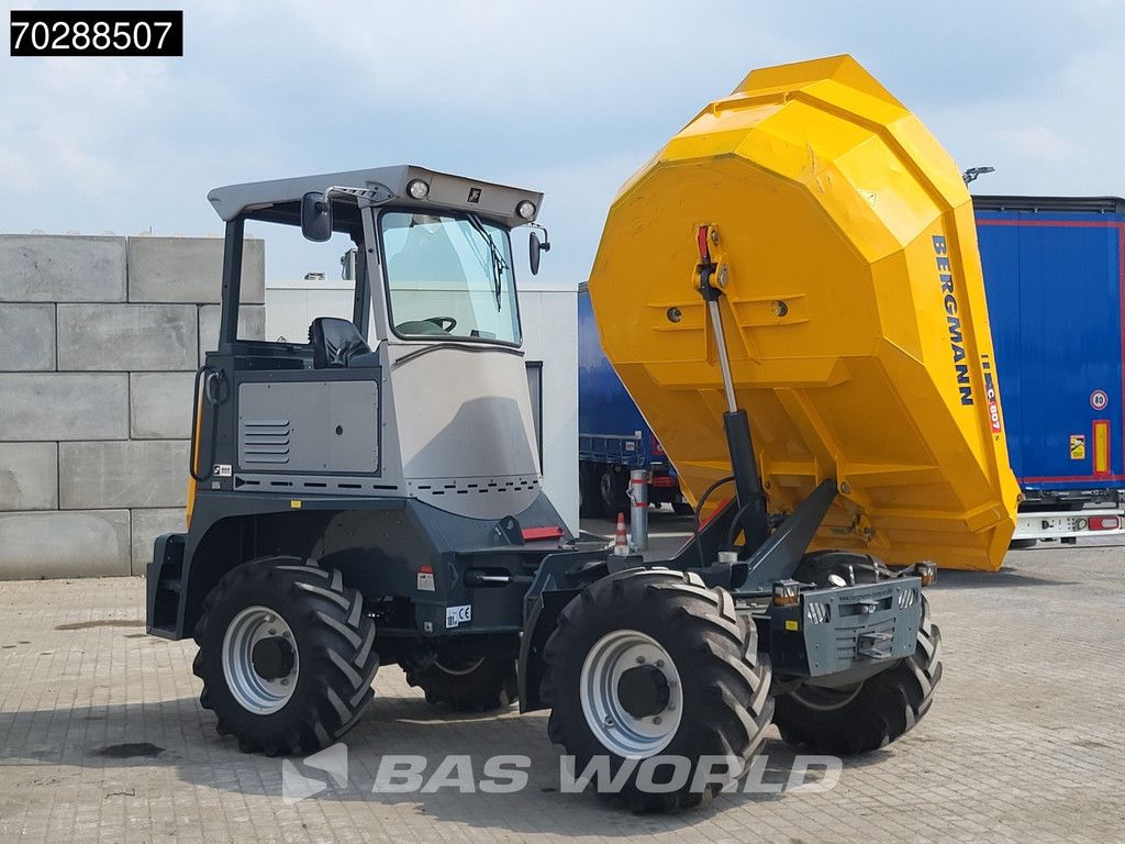 Bergmann C807s