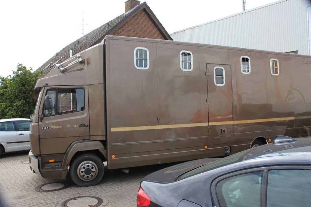 Pferdetransporter Mercedes-Benz 817 Diesel (Margin)