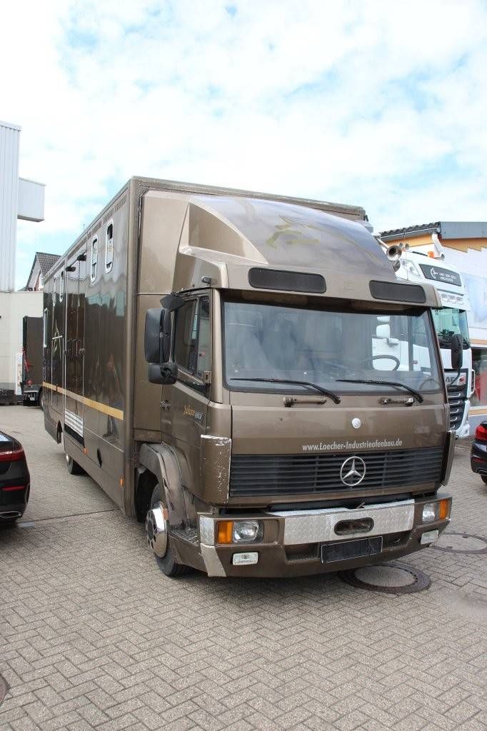 Pferdetransporter Mercedes-Benz 817 Diesel (Margin)