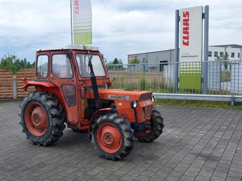 Same MINI TAURO