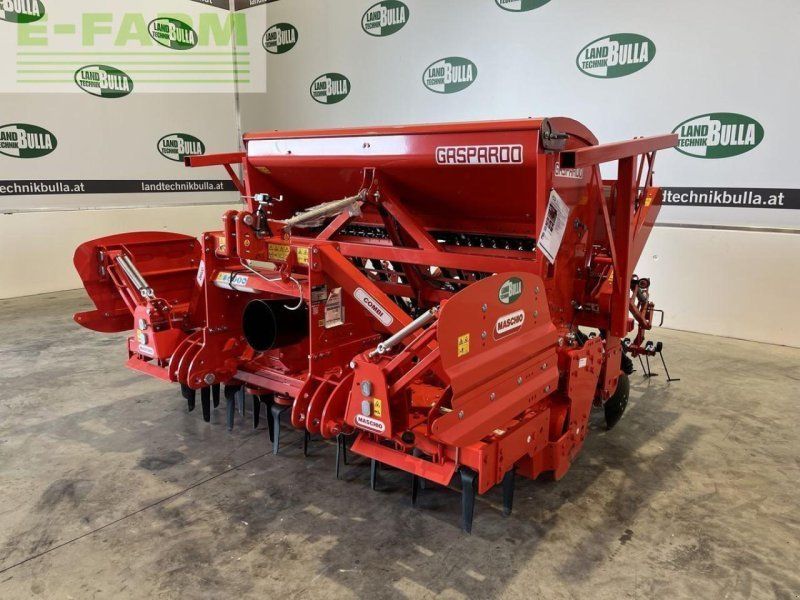 Maschio dc / dama 250 new edition