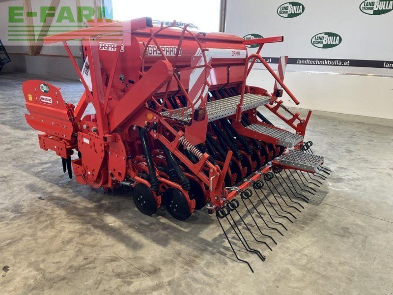Maschio dc / dama 250 new edition