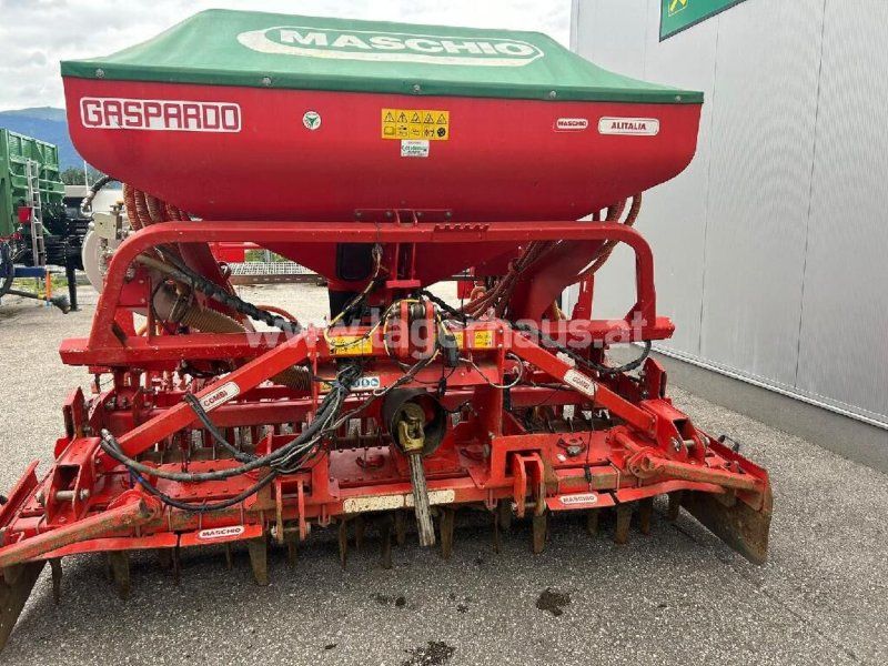 Maschio ALITALIA