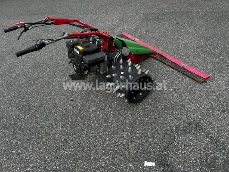 Rapid SWISS