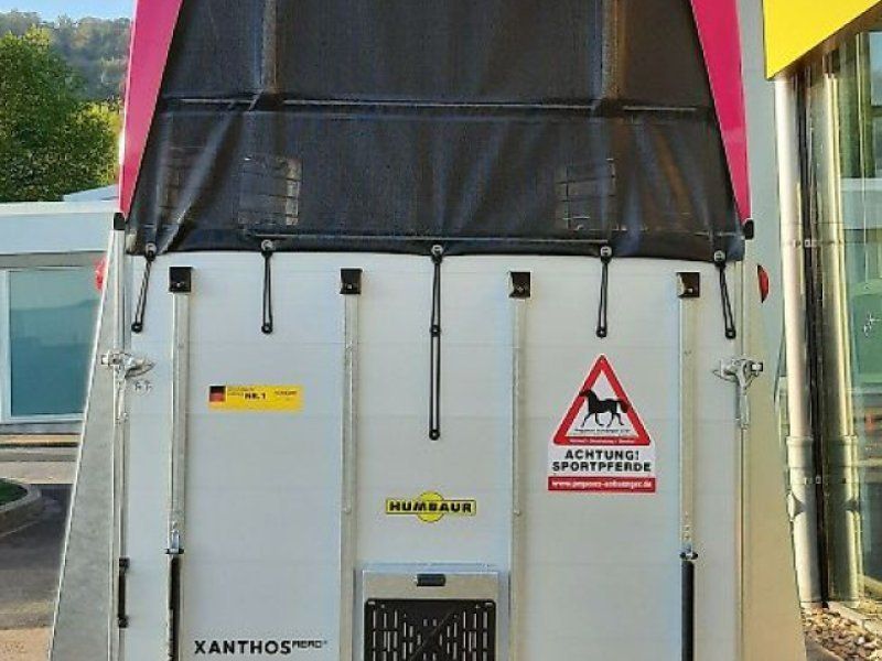 Humbaur Xanthos Aero PINK 2,4to  ALU Dreh-/Schwenktür