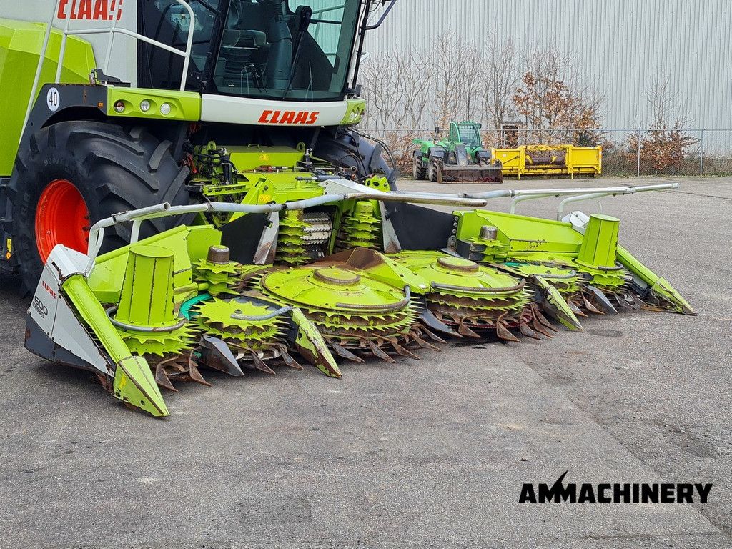 Claas Orbis 600SD rotary corn header