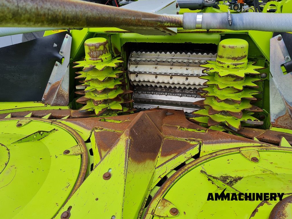 Claas Orbis 600SD rotary corn header