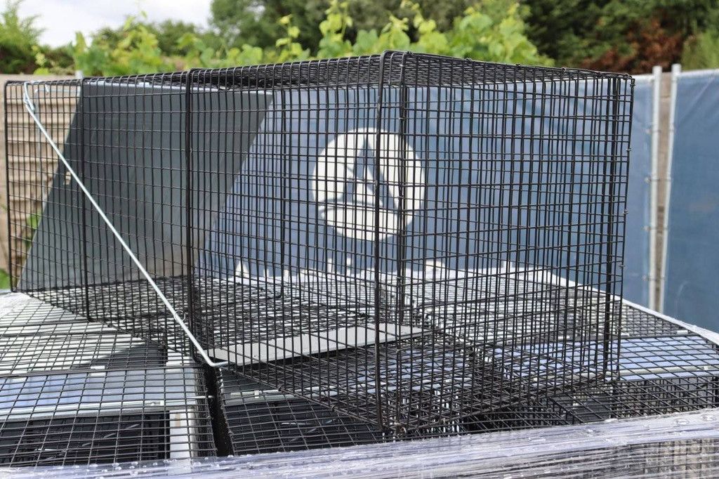 Partij Vallen voor Ongedierte (36x)