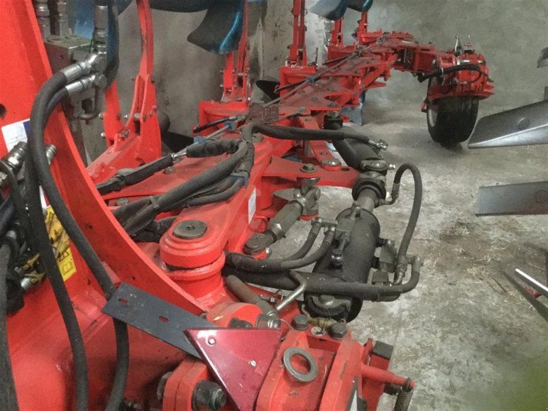 Maschio Unico L 5+ 5 furet vendeplov m hyd stenudløser