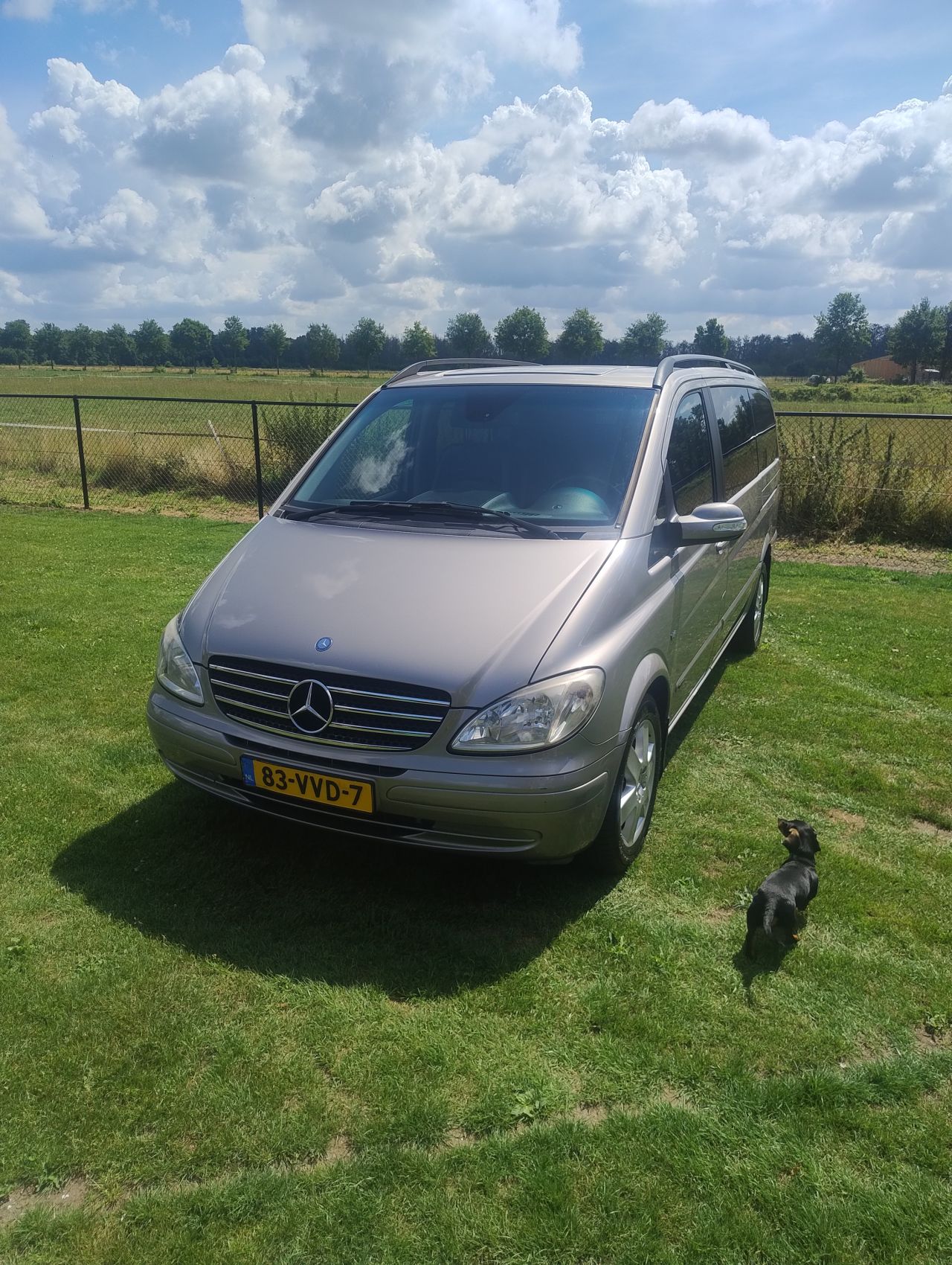 Mercedes viano 3.0 v6 2008