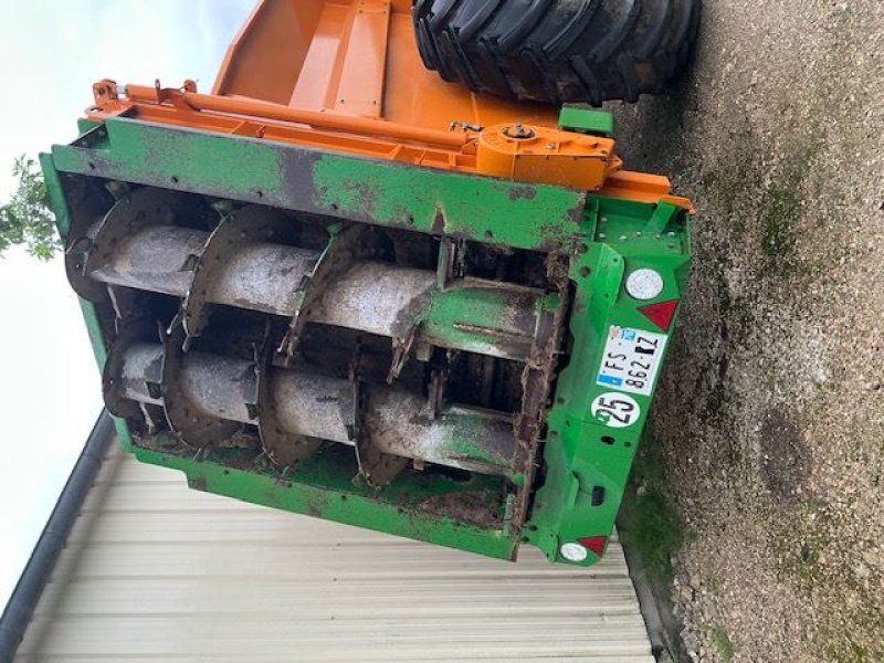 Dangreville SVL18