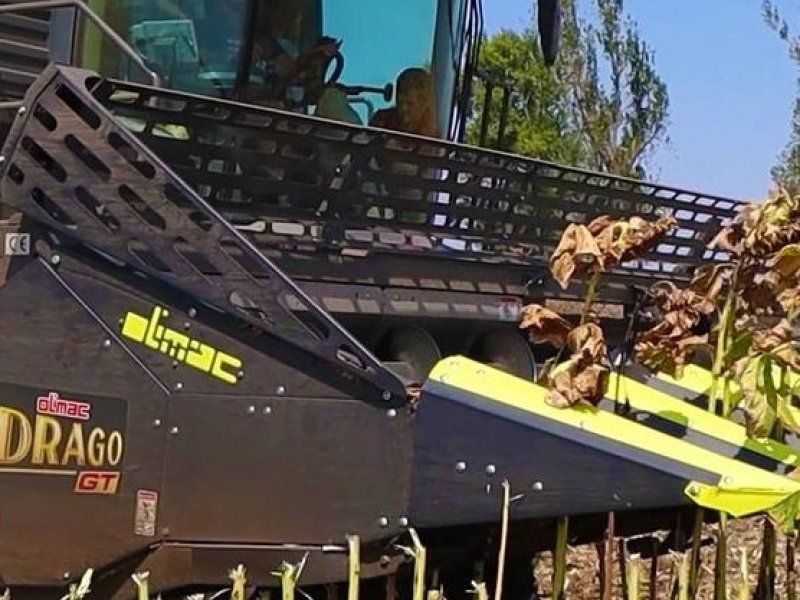Olimac Drago GT 12-reihig, starr