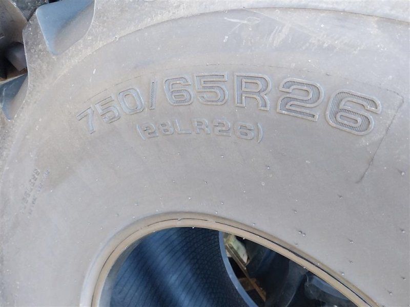 Tianli 750/65 R26 750/65R26 166A8/166B TL AG RS