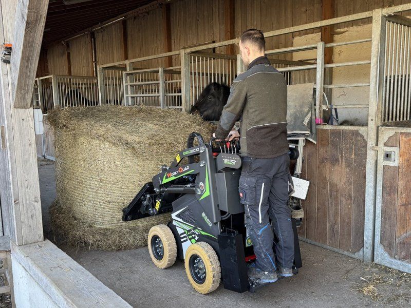 Cast Group Worky Quad SSQ Eco lader 0,74 m Elektro Giant