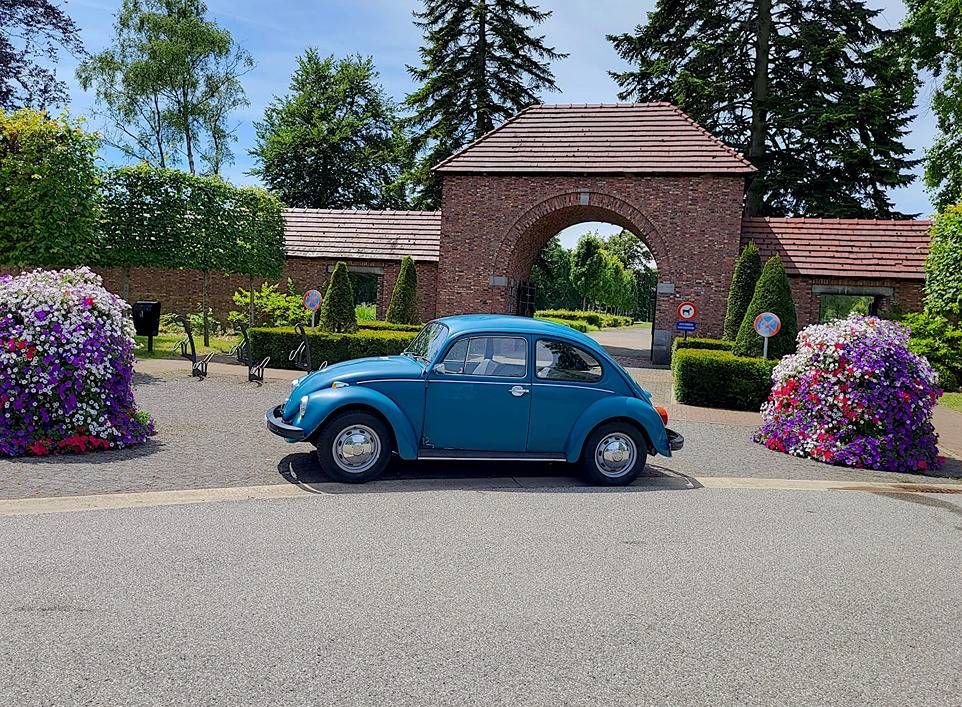 Volkswagen Käfer 1200 Benzin 1974 (Marge)