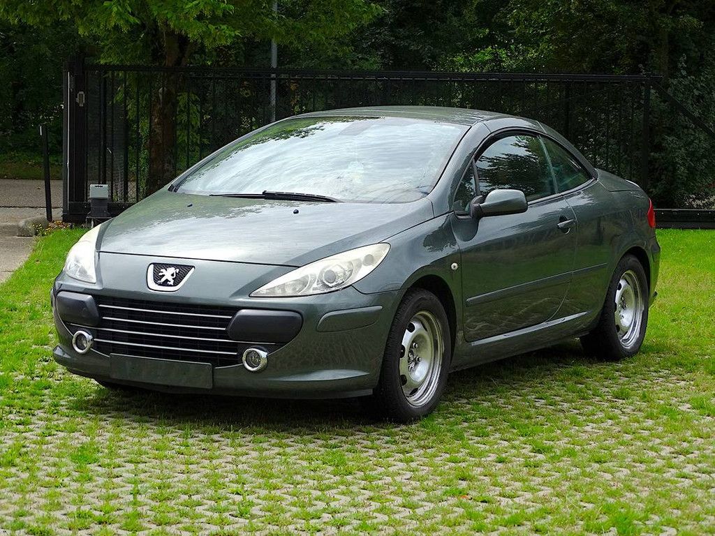 Peugeot 307 CC 1.6i (Projektbasis) (Marge)