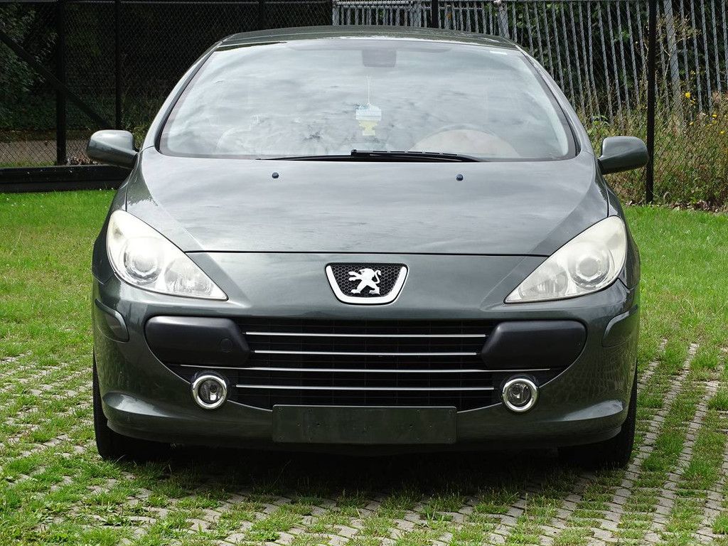 Peugeot 307 CC 1.6i (Projektbasis) (Marge)