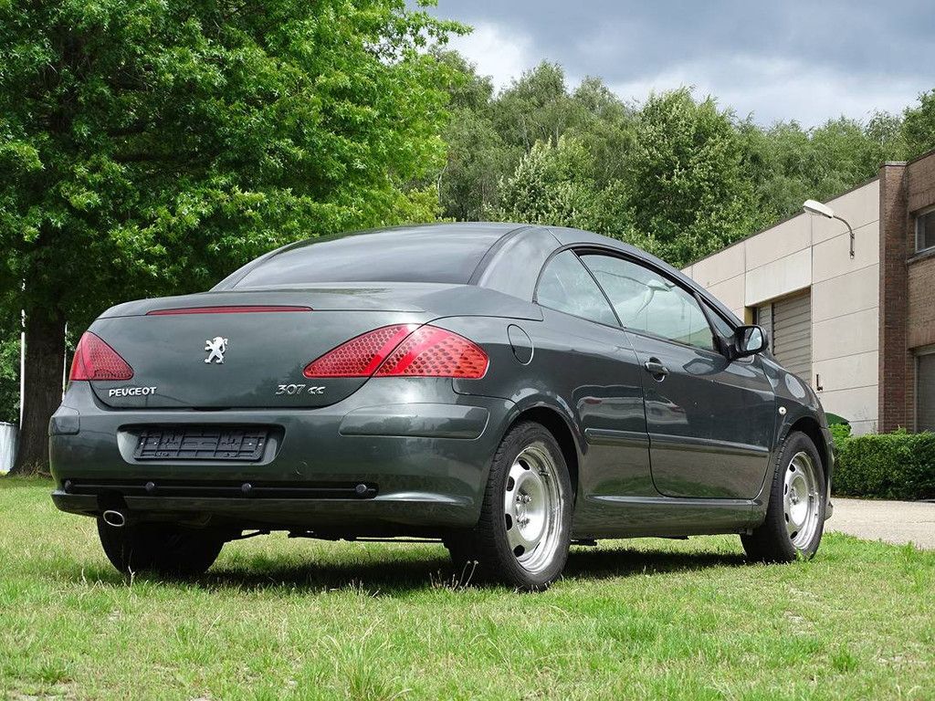 Peugeot 307 CC 1.6i (Projektbasis) (Marge)