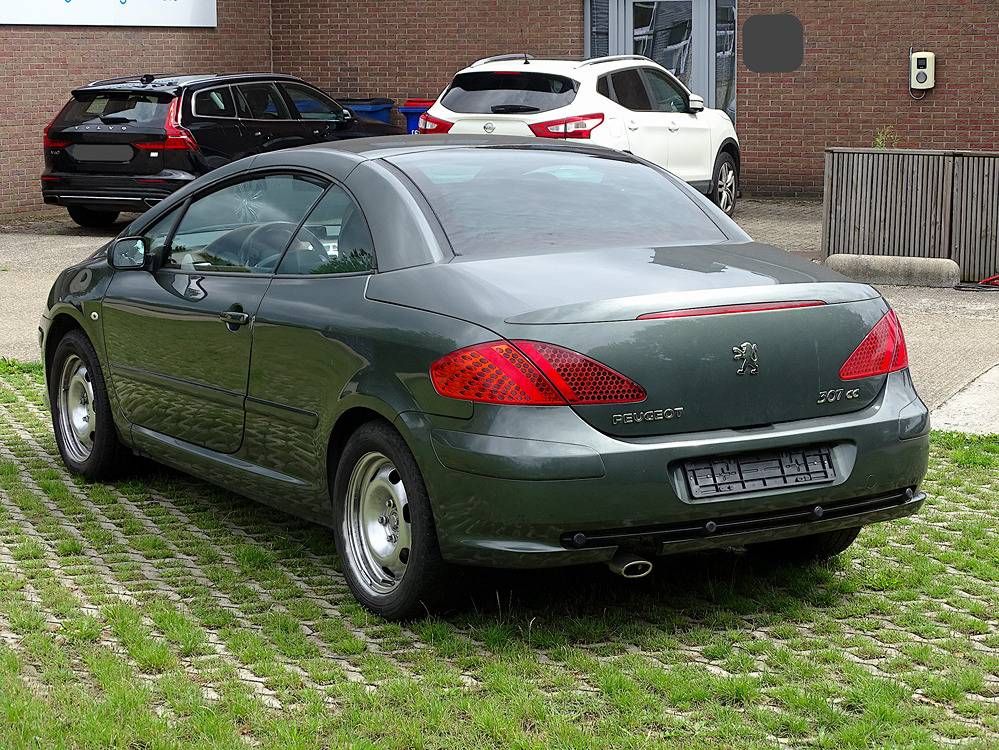 Peugeot 307 CC 1.6i (Projektbasis) (Marge)