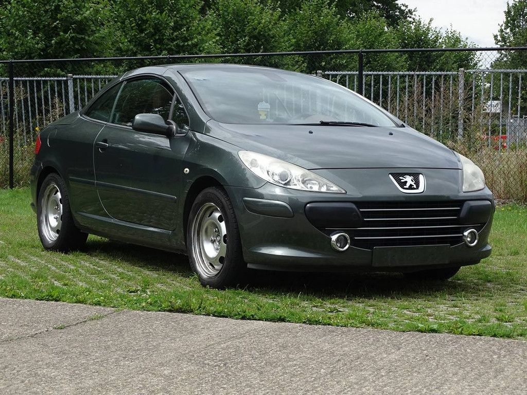 Peugeot 307 CC 1.6i (Projektbasis) (Marge)