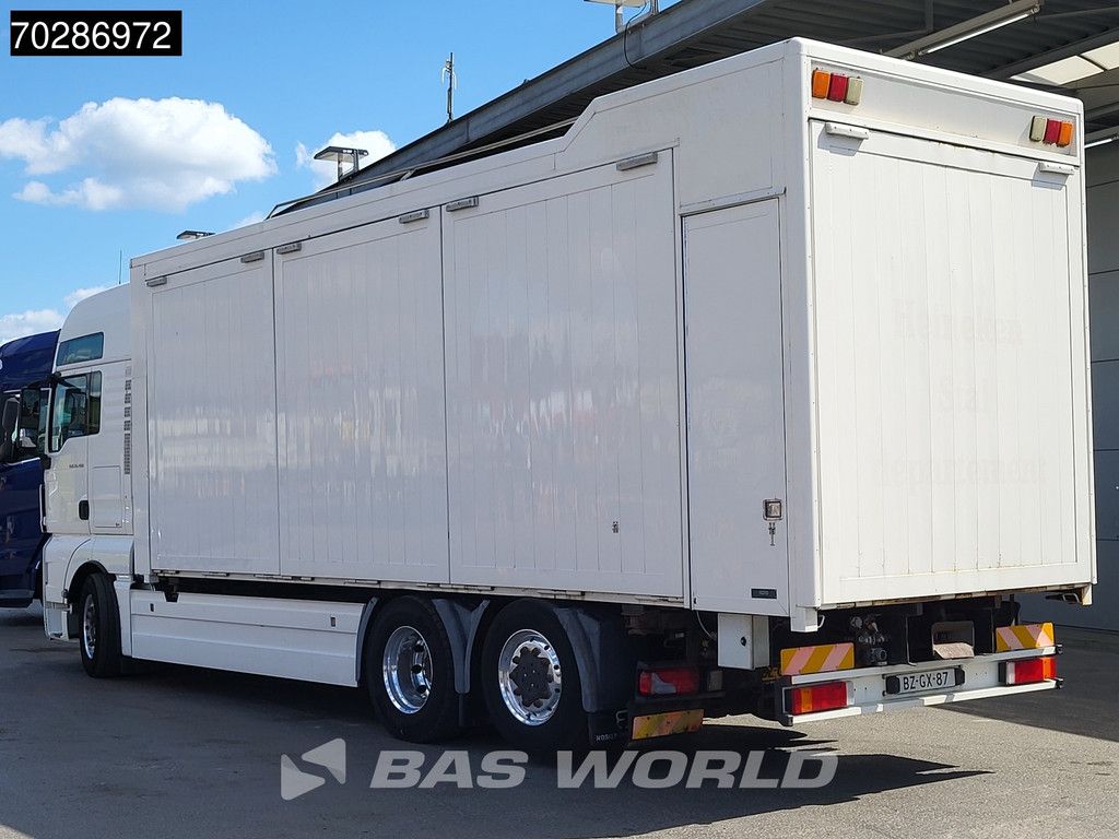 MAN TGX TGX 26.480 6X2 NL-Truck BDF HorseTransport Lift+steering axle Standklima Automatic Xenon Alcoa´s Euro 5