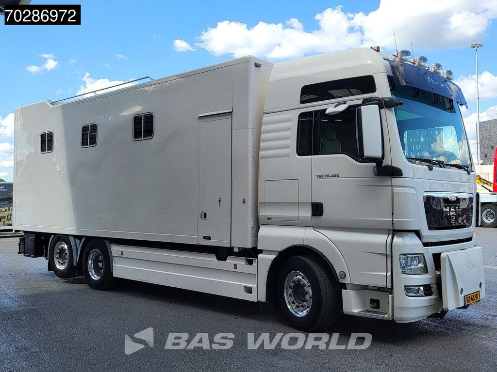 MAN TGX TGX 26.480 6X2 NL-Truck BDF HorseTransport Lift+steering axle Standklima Automatic Xenon Alcoa´s Euro 5