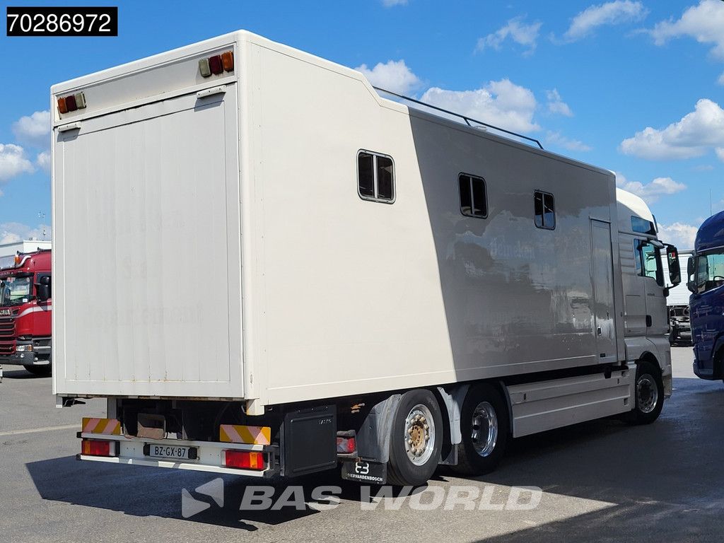MAN TGX TGX 26.480 6X2 NL-Truck BDF HorseTransport Lift+steering axle Standklima Automatic Xenon Alcoa´s Euro 5