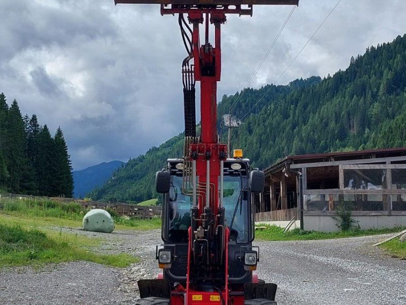 Grizzly Grizzli  810T