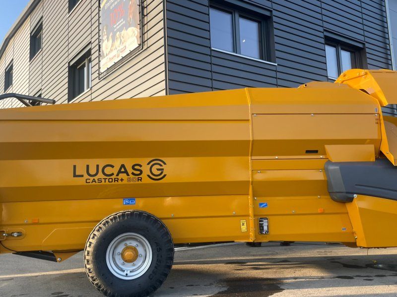 Lucas Castor + R 80