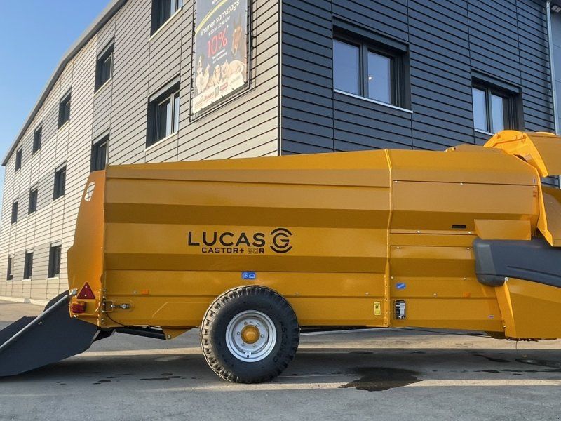 Lucas Castor + R 80