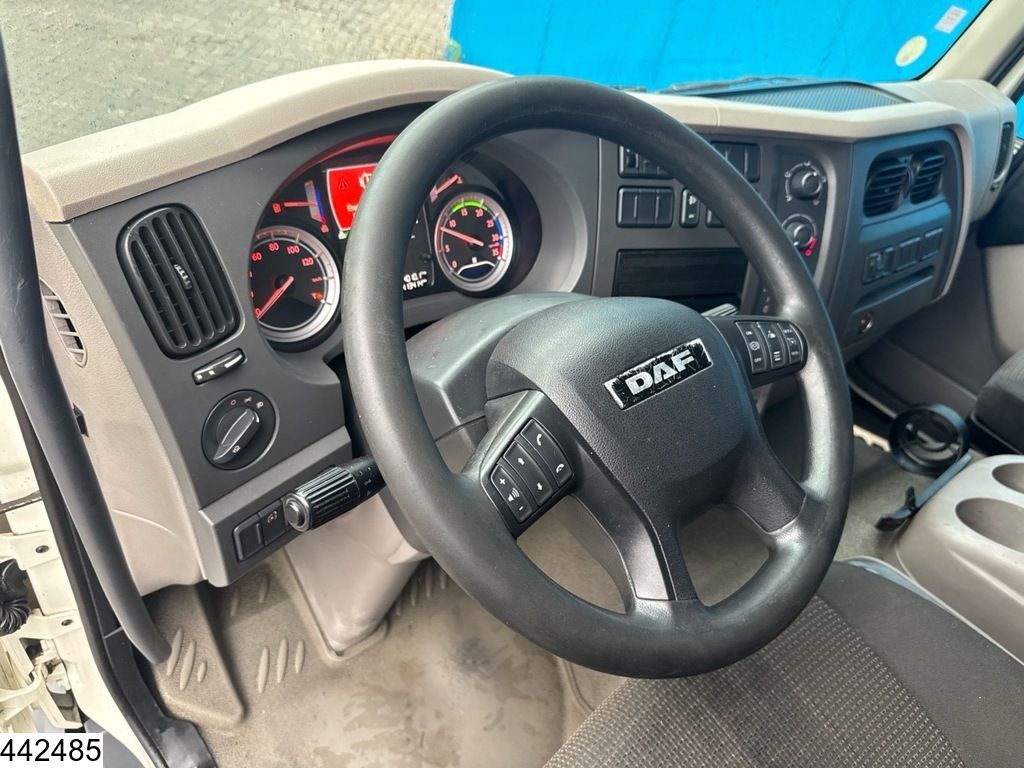 DAF LF 210 EURO 6, Dhollandia