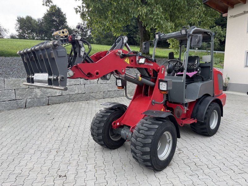 Weidemann 1880